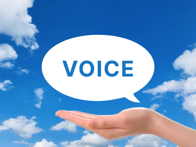 voice